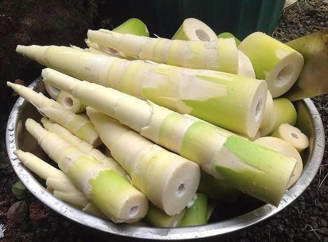 健康飲食必看！認(rèn)識(shí)竹筍！